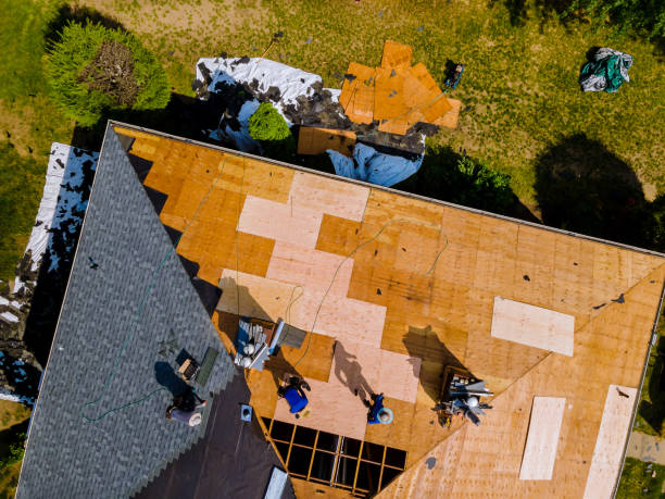 Best Roof Leak Repair  in Walce Ridge, LA