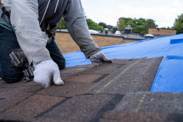 Roof Repair Estimates in Wallace Ridge, LA