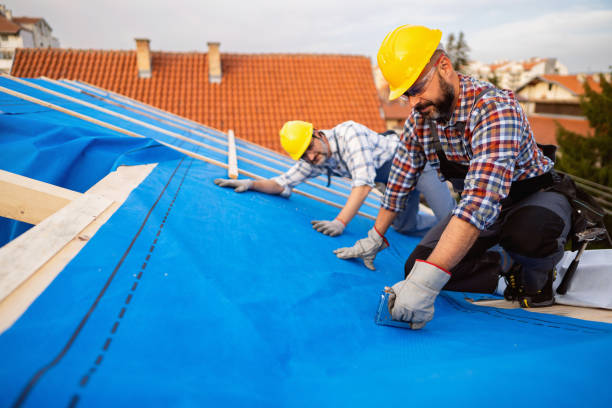 Best Storm Damage Roof Repair  in Walce Ridge, LA